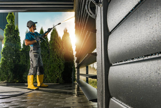 Best Driveway Cleaning and Restoration in Alorton, IL